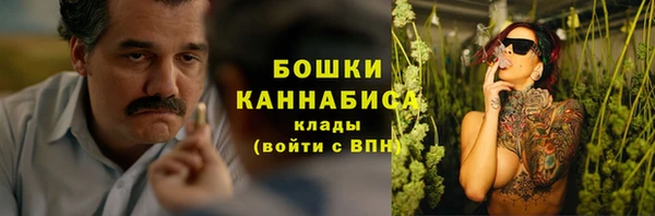 метадон Новодвинск