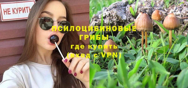 метадон Новодвинск
