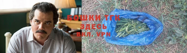 метадон Новодвинск