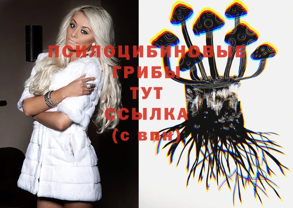 метадон Новодвинск