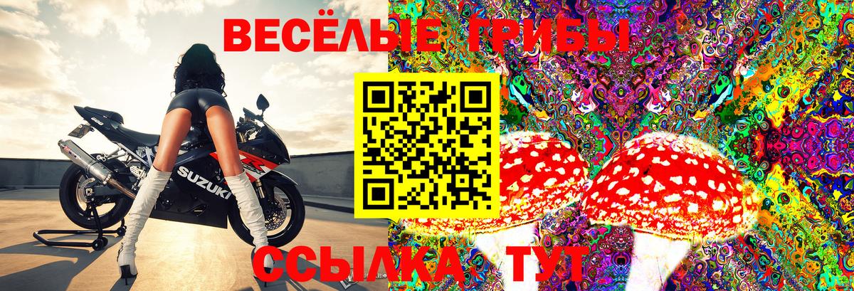 A-PVP Выборг