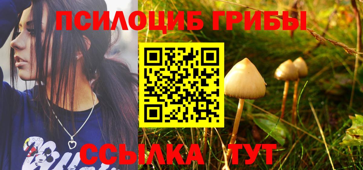  Cocaine Выборг